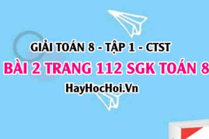Giải bài 2 trang 112 Toán 8 Tập 1 SGK Chân trời sáng tạo